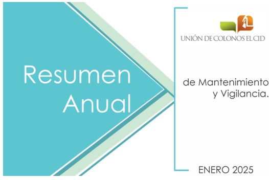 resumenanual25